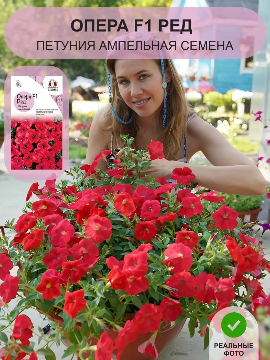 Семена петунии Нетипичный фермер 