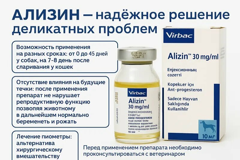 Препарат ализин для собак и кошек надежное решение деликатных проблем