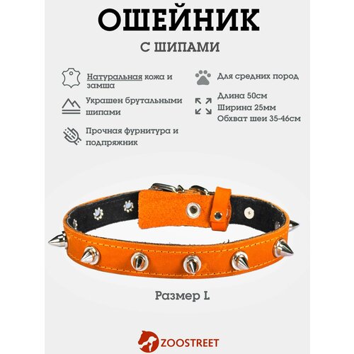 Ошейник для собак средних пород кожаный с шипами, натуральная кожа, подклад из замши 25мм, 50см, с подпряжником L