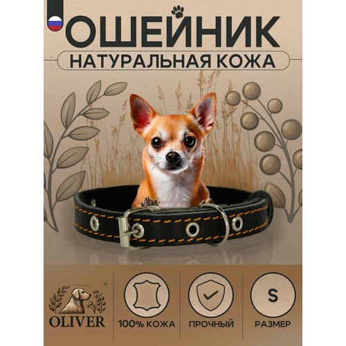 Ошейник для собак Oliver из натуральной кожи на мягкой подкладке из синтепона / S / Черный