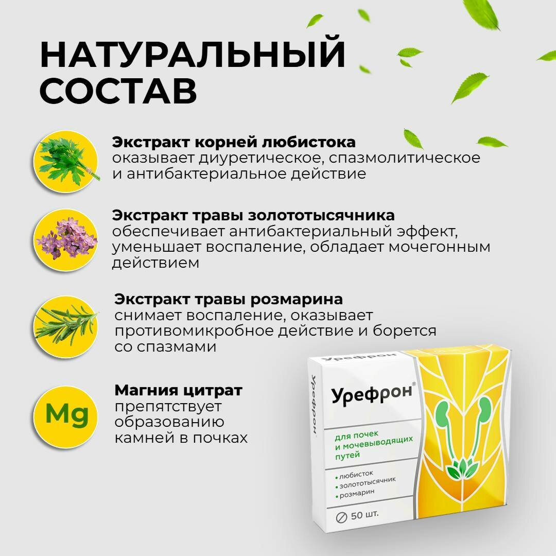 Изображение Урефрон таблетки при цистите и для почек, золототысячник, любисток, розмарин, 3 упаковки
