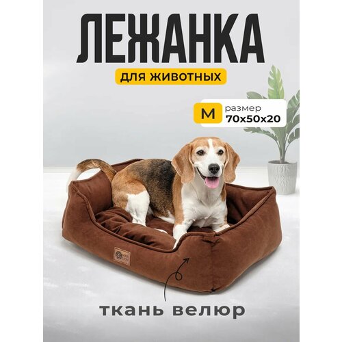 Лежанка для Кошек и Собак Большая с Бортиками и Подушкой