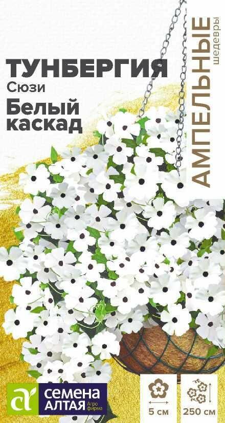 Тунбергия Сюзи Белый каскад /4 семени /ампельные шедевры/ СемАлт