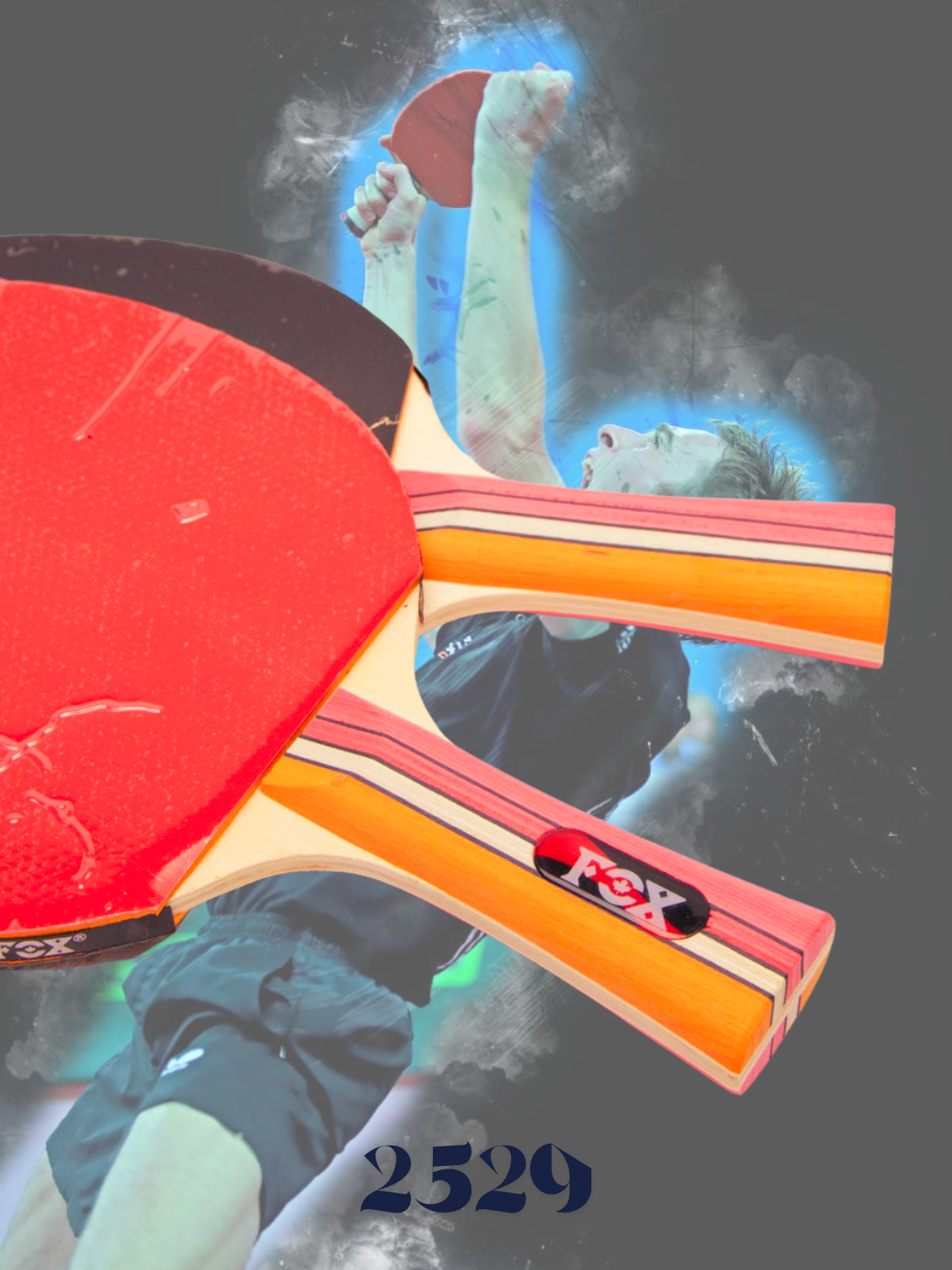 Ракетки для настольного тенниса-LOKI 2529 — фото 1