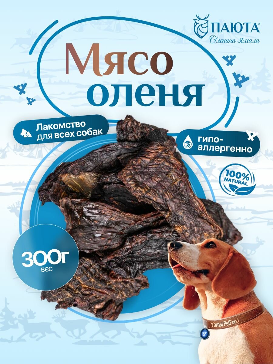 Мясо оленя 300 гр лакомство для собак, полезные вкусняшки, Паюта
