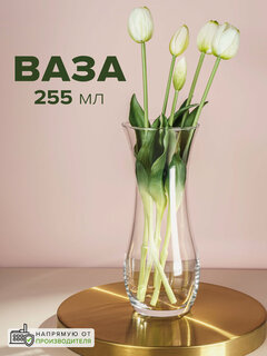 Изображение товара Ваза для цветов Pasabahce, 255 мм, высокая, стеклянная, прозрачная