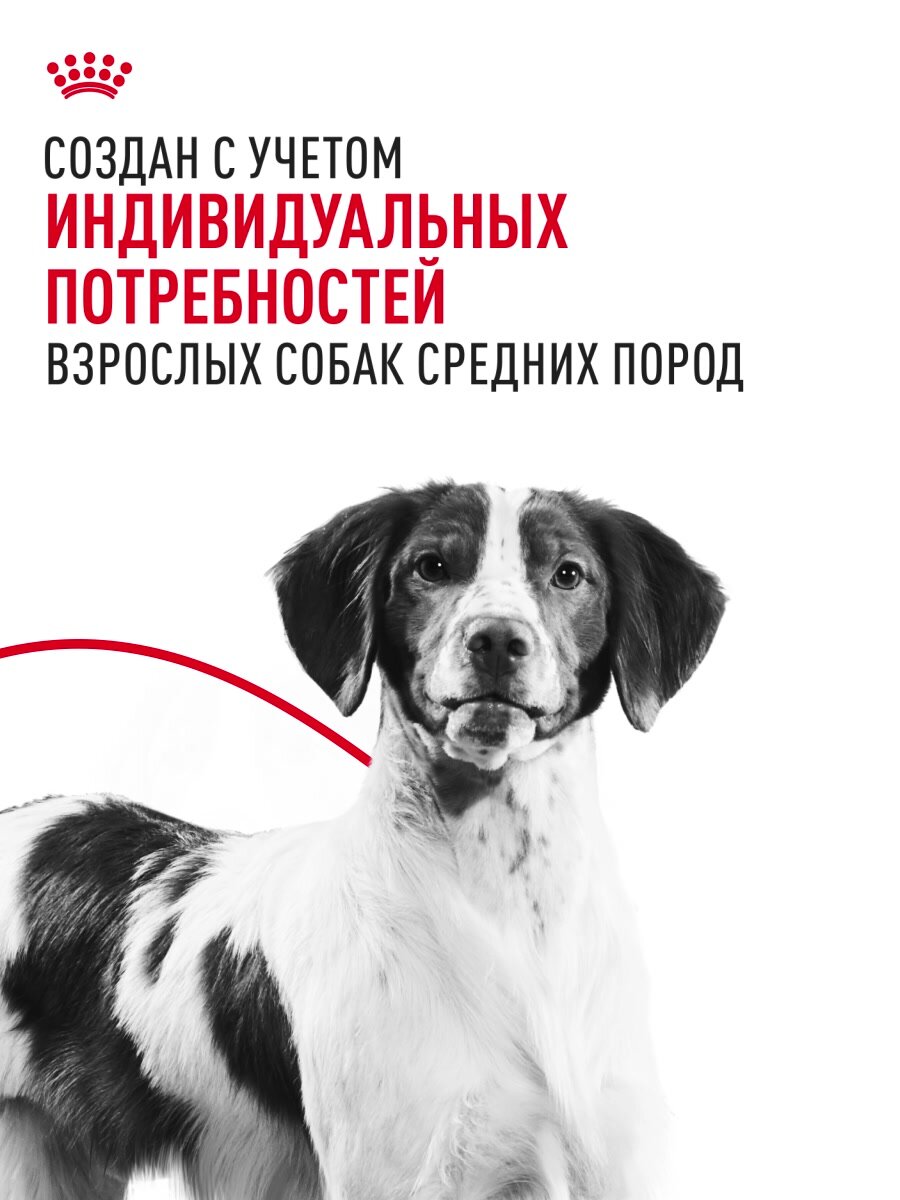 Сухой корм для собак Royal Canin Medium Adult для средних пород, 3 кг — фото 1