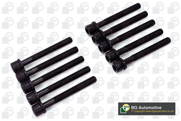Комплект болтов ГБЦ M11x1.5x96 AUDI 80 1.6 1.8 2.0 83- (10шт)
