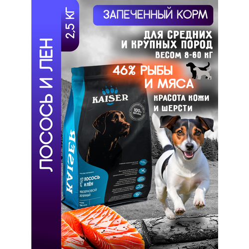 Сухой корм запеченный для собак 2,5 кг "Красота кожи и шерсти", KAISER, супер-премиум, вкус: лосось и лен