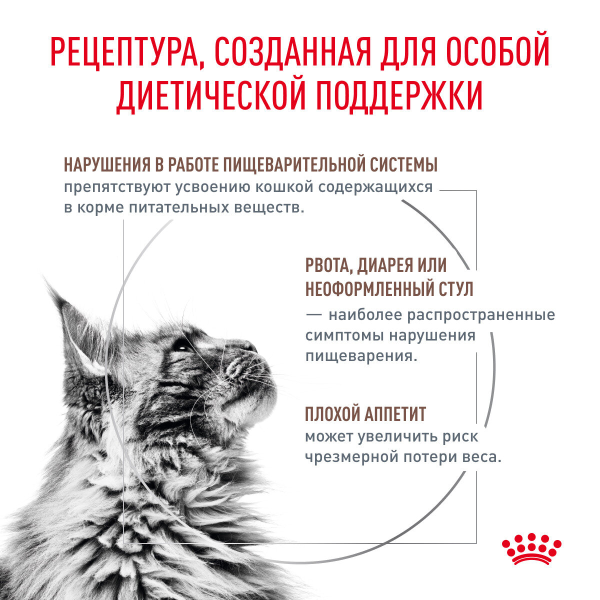 Royal Canin Gastrointestinal GI32 сухой корм для взрослых кошек при острых расстройствах пищеварения, диетический 2кг — фото 1