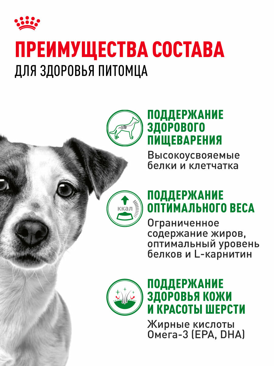 Корма Для Собак Xiaomi Влажный корм для собак Royal Canin Mini Adult для мелких пород, кусочки в соусе, 28 шт по 85 г