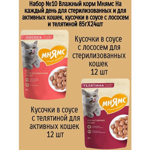 Набор №10 Влажный корм Мнямс для стерилизованных кошек, кусочки в соусе с лососем и телятиной, 24 шт х 85 гр