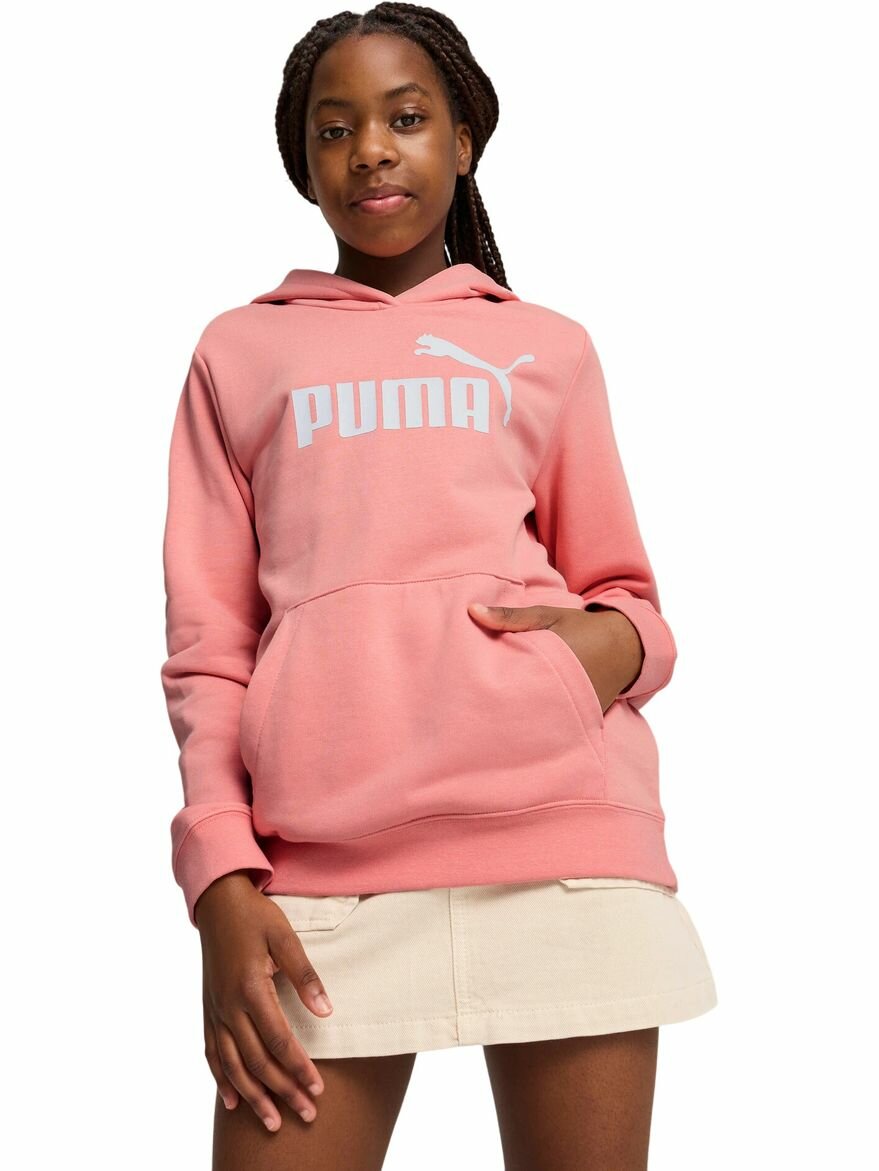 Худи ESS No. 1 Logo Hoodie TR G