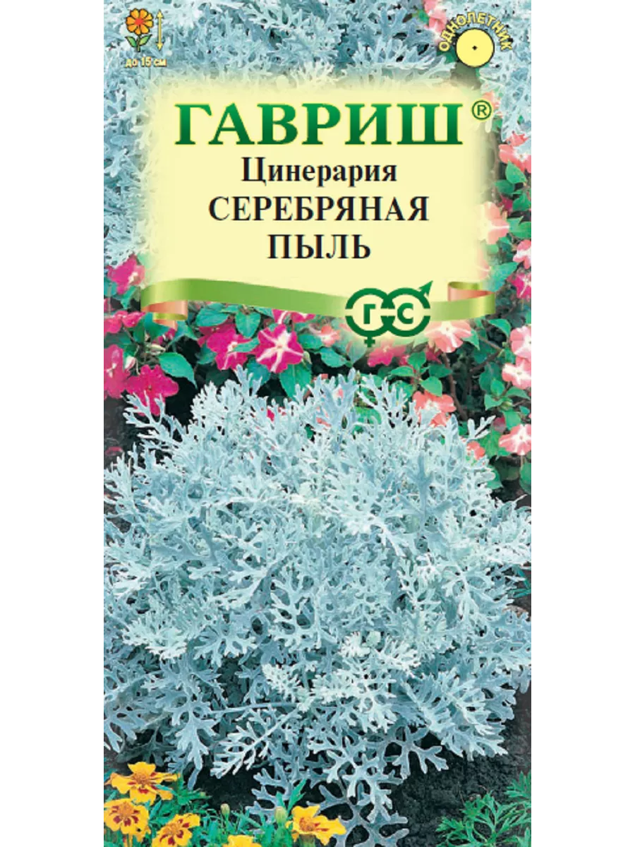 Цинерария Серебряная пыль приморская цв. п 0,05г