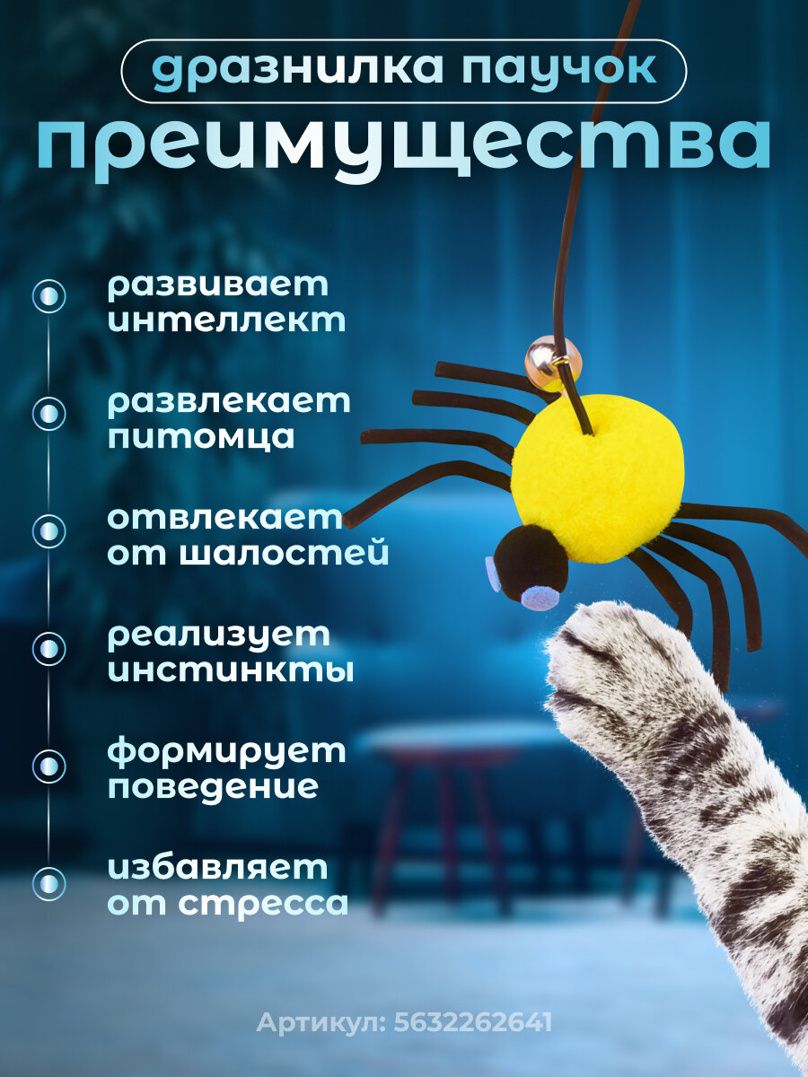 Игрушка для кошек Паучок, интерактивная дразнилка на резинке с липучкой, для котят и котов, жёлтый — фото 1