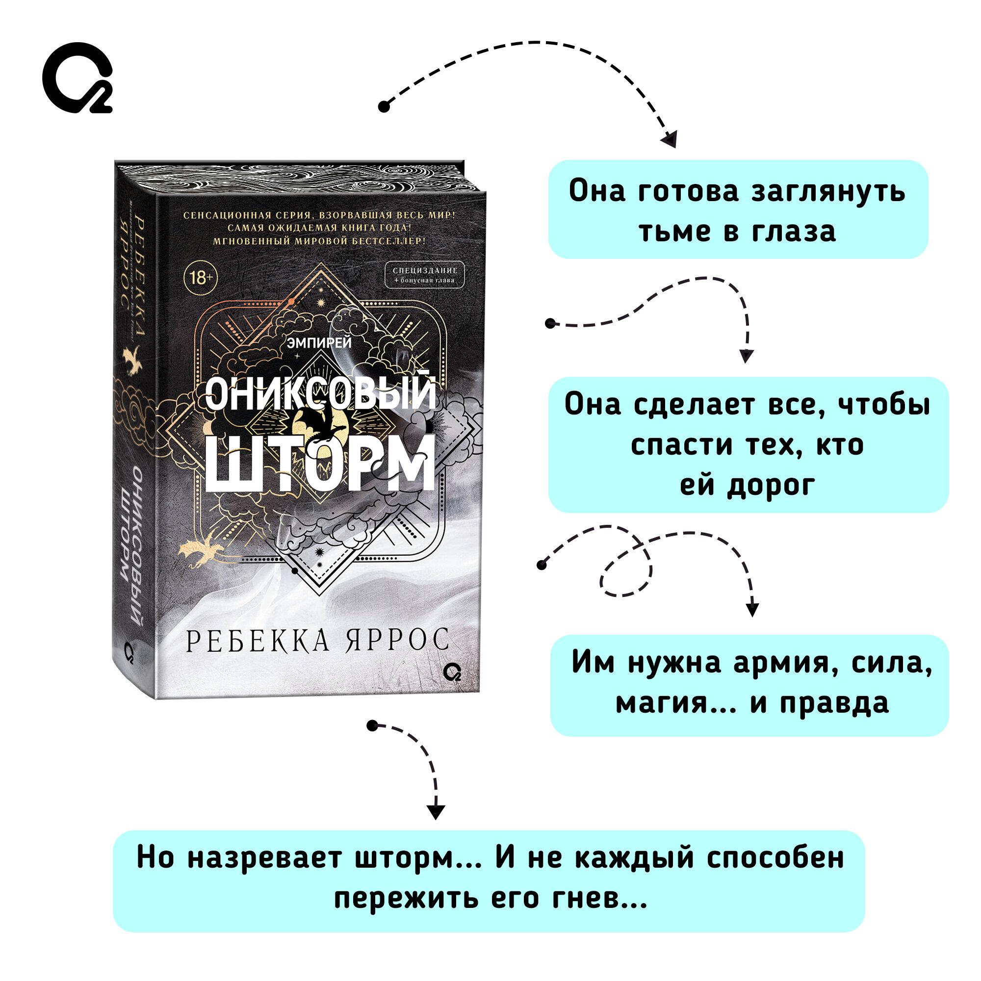 Ониксовый шторм (спец.издание, обрез с узором) - фото №3