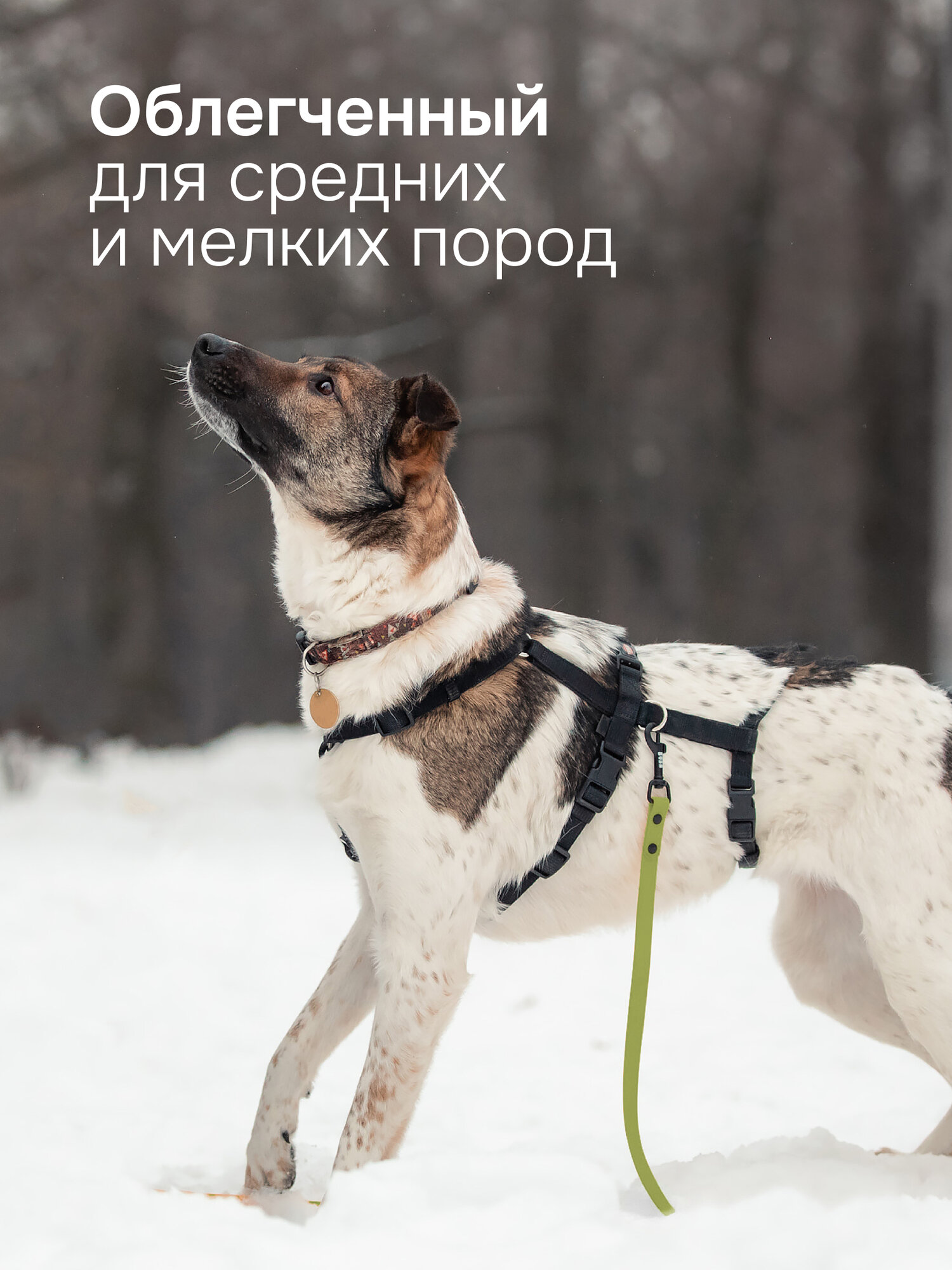 Поводок биотановый KUSAKA 2.5м зеленый, для собак мелких и средних пород — фото 1