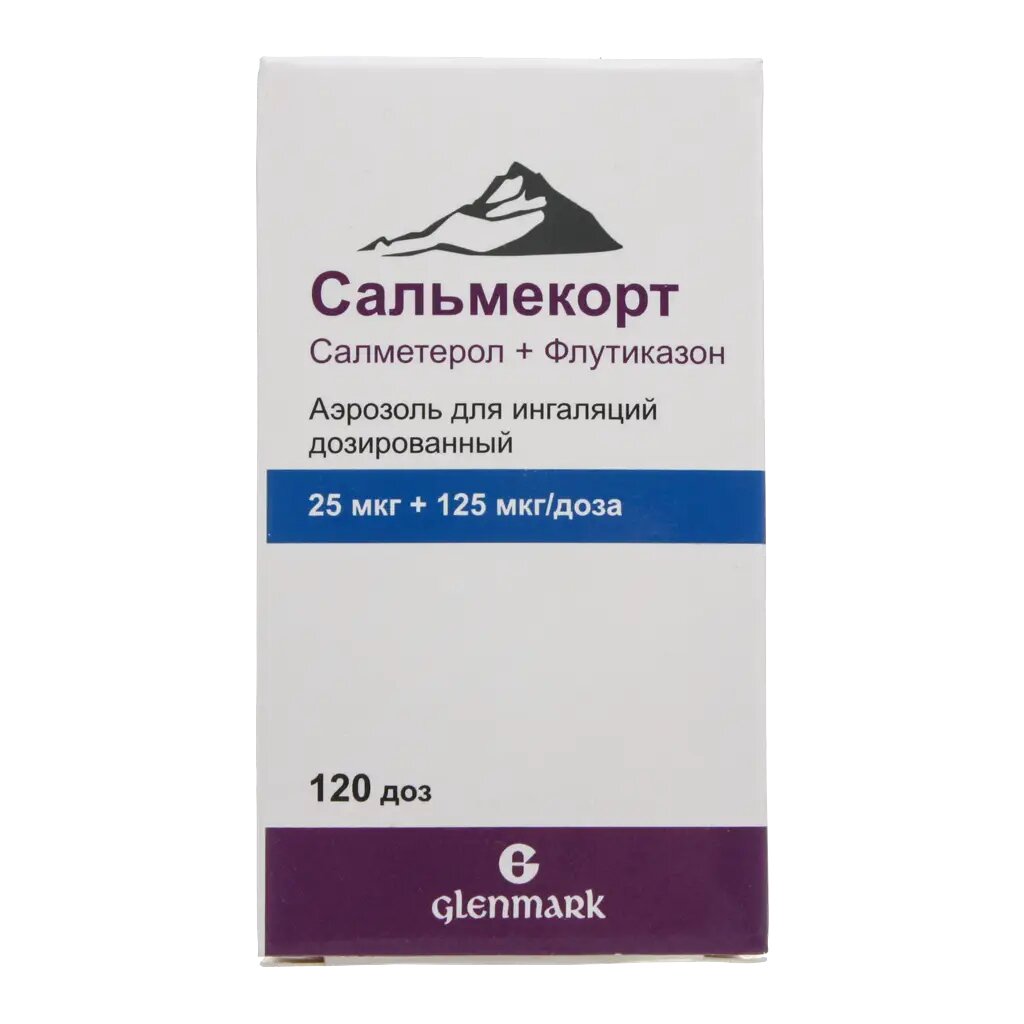 Сальмекорт аэрозоль для ингаляций дозированный 25 мкг+125 мкг/доза 120 доз 1 шт