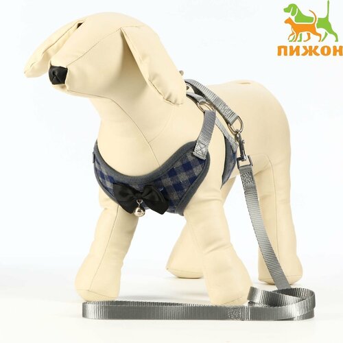 Комплект амуниции с мягкой шлейкой, L, 1,5 х 120 см (ОШ 27-44, ОГ 38-52 см), серый