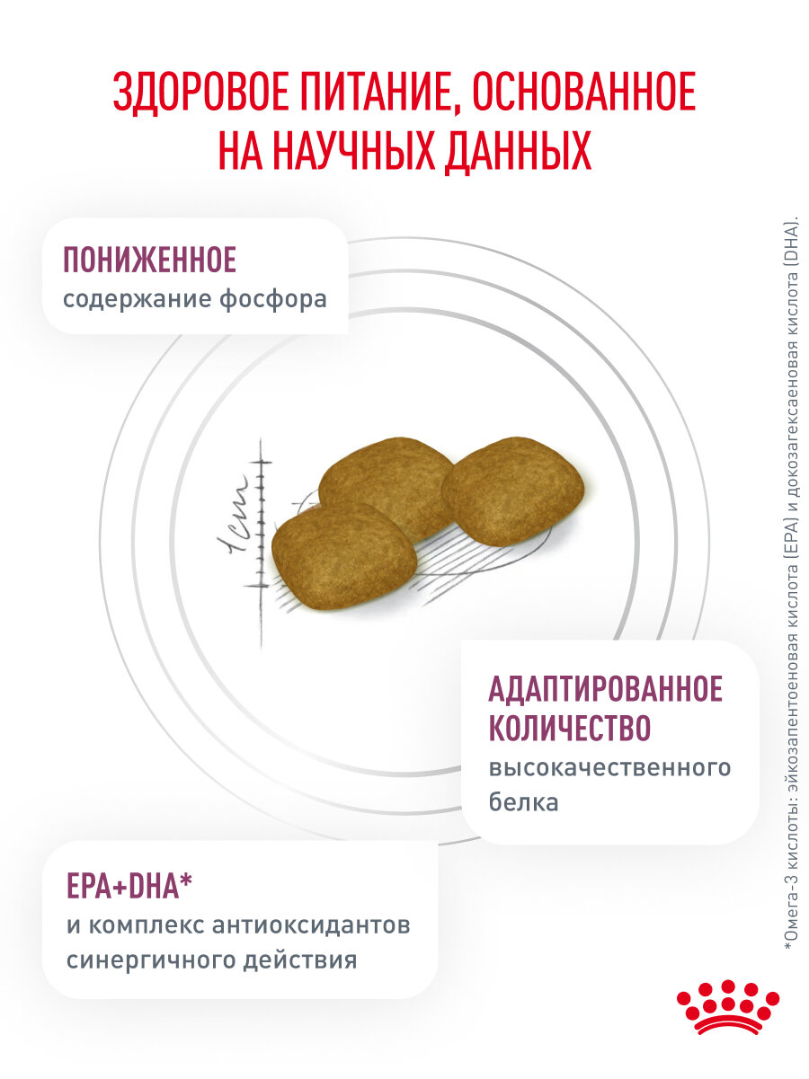 Сухой корм для собак Royal Canin Renal при заболеваниях почек, 2 кг — фото 1