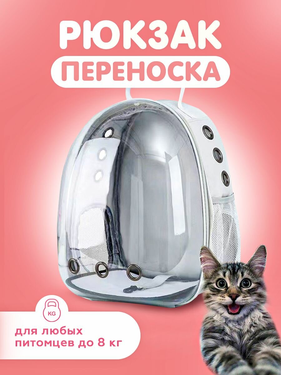 Переноска-рюкзак для животных, прозрачная дверца, для разных животных