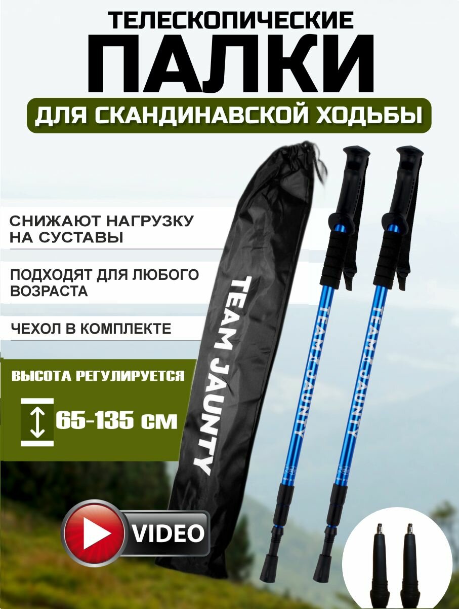 Палки для скандинавской ходьбы телескопические 67-135см для пожилых людей чехол в комплекте