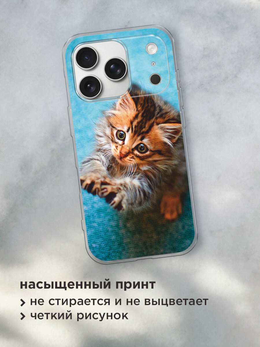 Чехол на Apple iPhone 17 Pro Max / Айфон 17 Про Макс с принтом Котенок просит есть — фото 1