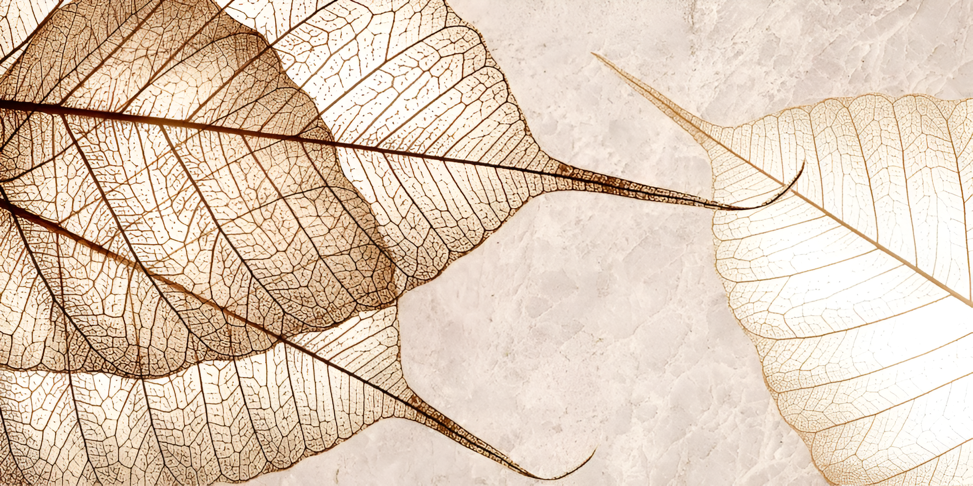 Керамическая плитка настенная Тянь-Шань Ирида под камень глянцевая Декор TP3688F1 60 х 30 см 144 м2