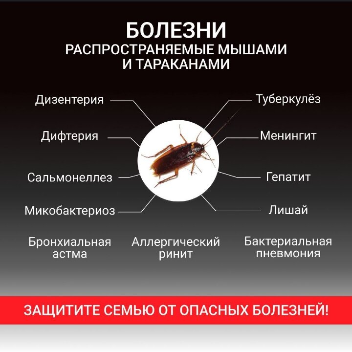 Тиурам 200 - самое эффективное средство для борьбы с тараканами! — фото 1