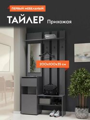 Прихожая комплект Тайлер с зеркалом, с полками, с вешалками, с обувницей, 100.1х34.8х199,9 см, Графит