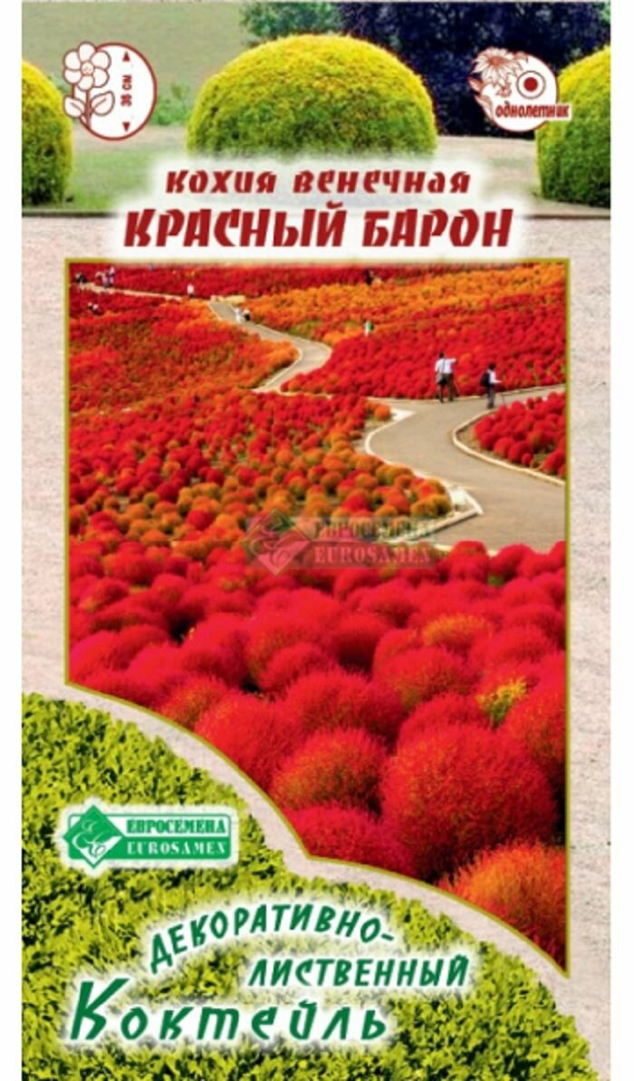 Кохия Красный Барон венечная 03г /ЕвроСемена