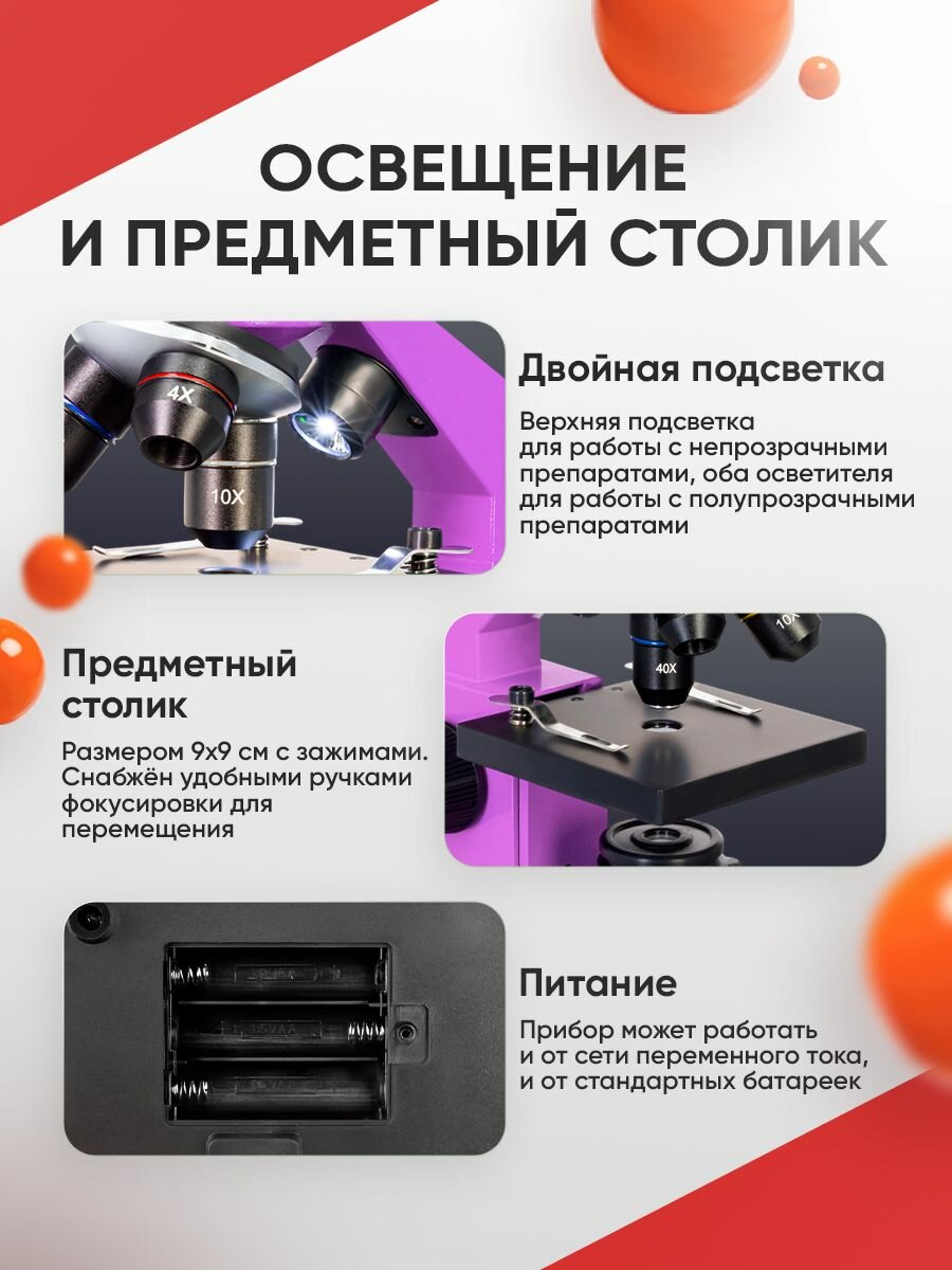 Микроскоп детский Levenhuk Rainbow 2L PLUS Amethyst Аметист — фото 1