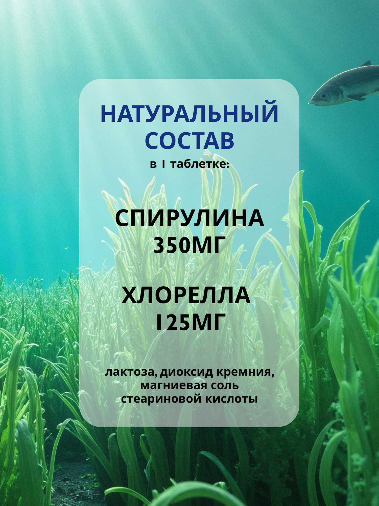 БАД СПИРУЛИНА + ХЛОРЕЛЛА / 200 таблеток по 0.5 г. /таблетки для похудения и очищения антиоксидант — фото 1