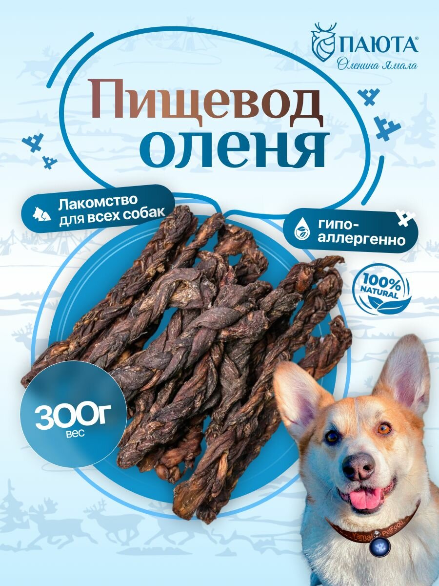 Пищевод оленя 300 гр (косичкой) лакомства для собак, полезные вкусняшки, Паюта