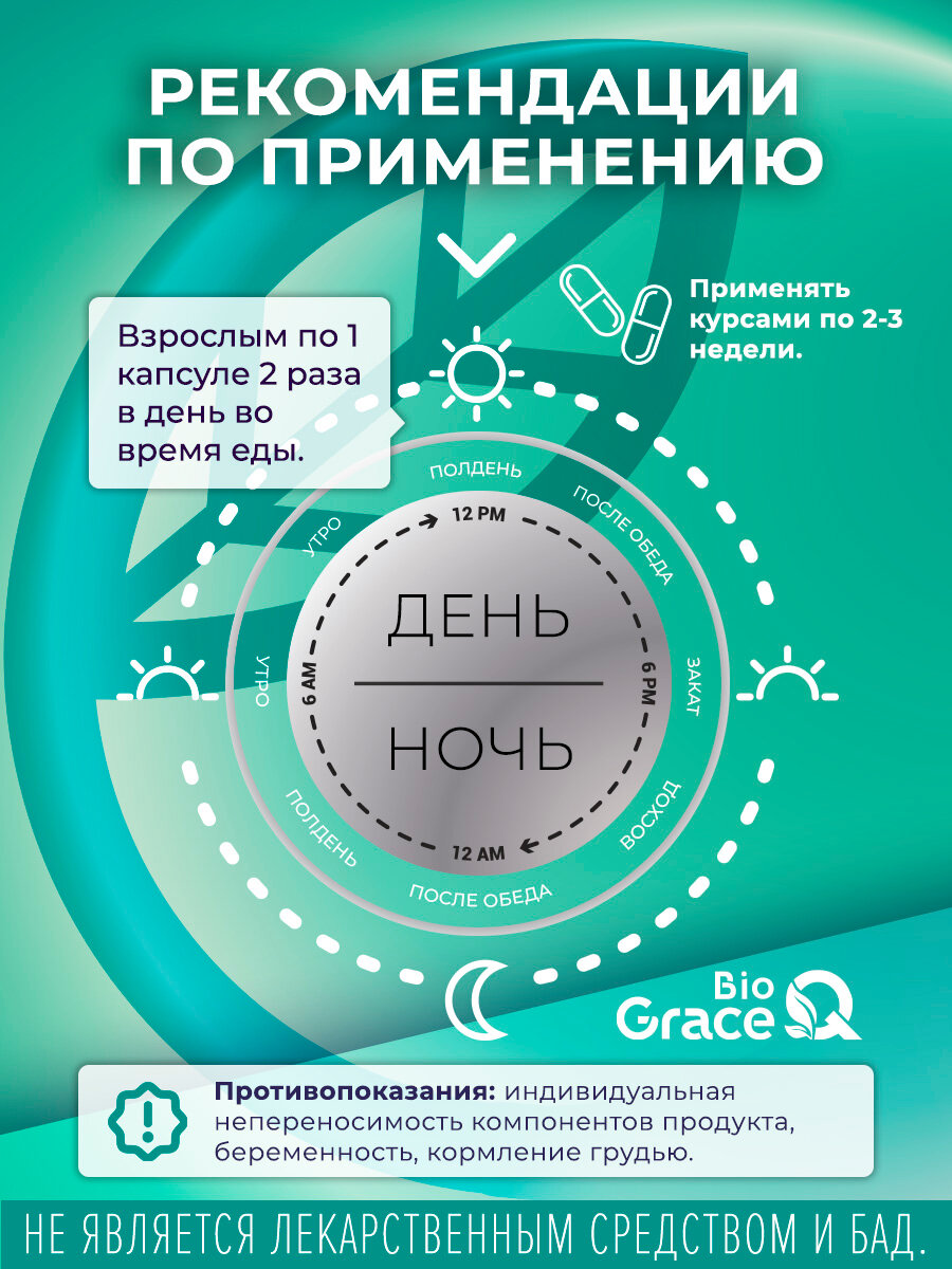 Изображение Гинкго Билоба и Готу Кола GraceBioQ для памяти, мозга, внимания, сердца, сосудов, 60 капсул