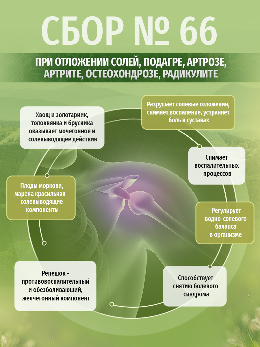 Картинки Травы Кавказа сбор №66 при отложении солей, подагре, артрозе, артрите, остеохондрозе, радикулите, 200 г