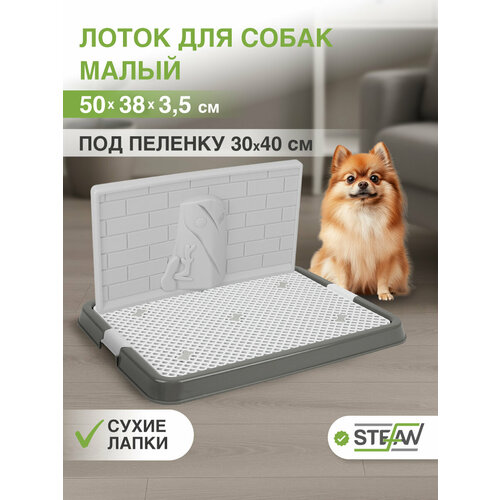 Туалет-лоток со стенкой для собак STEFAN, малый (S) 50х38х28, бело-серый, BP1301GW