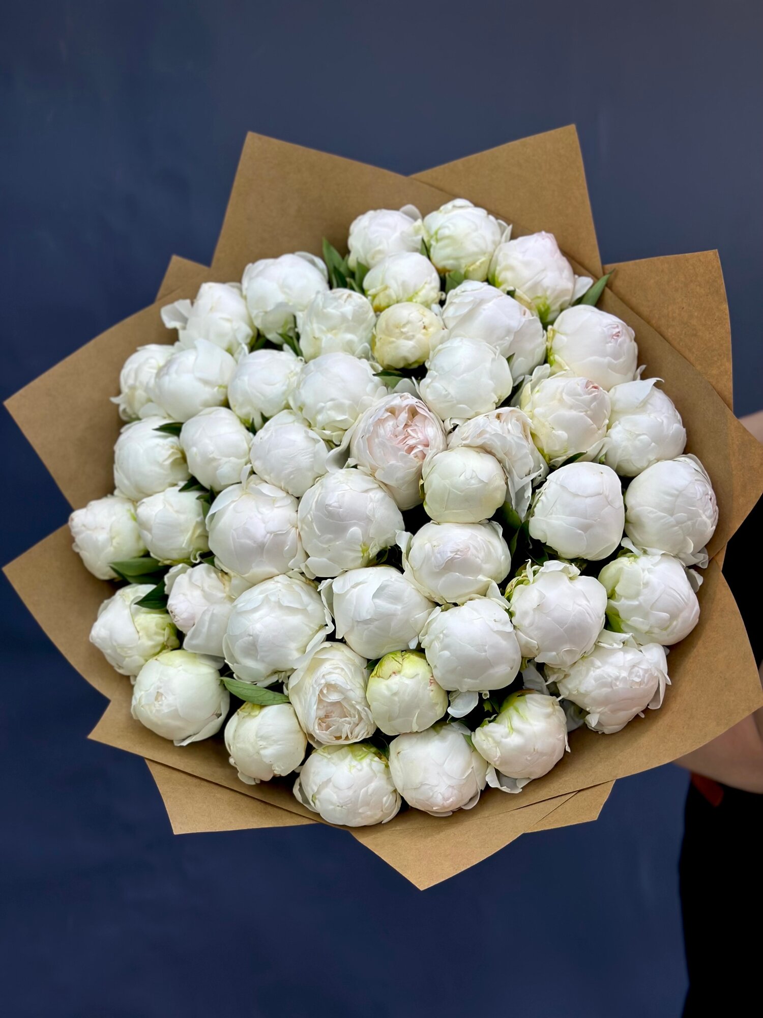 Пионы 45 шт. 60 см.