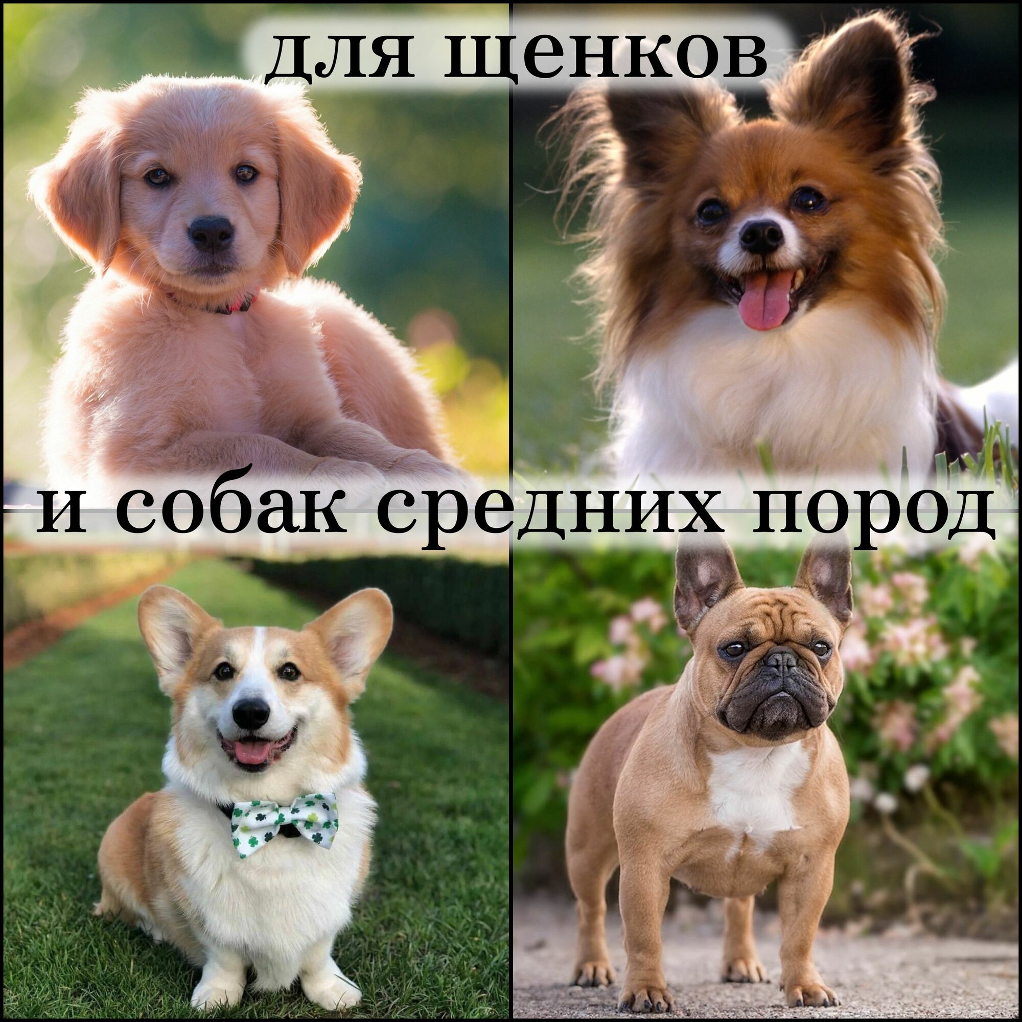 Туалеты, Лотки, Пеленки Для Животных Xiaomi Лоток большой 92х64 см, силиконовый коврик для собак под пеленку , серый