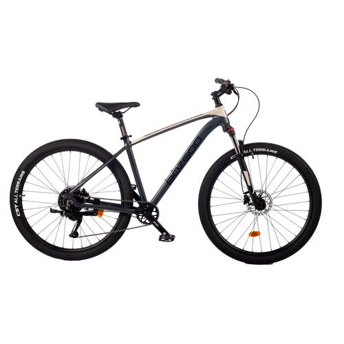 BozGoo Grande 25 (Wet Asphalt /Lite Grey) РАМА 19"