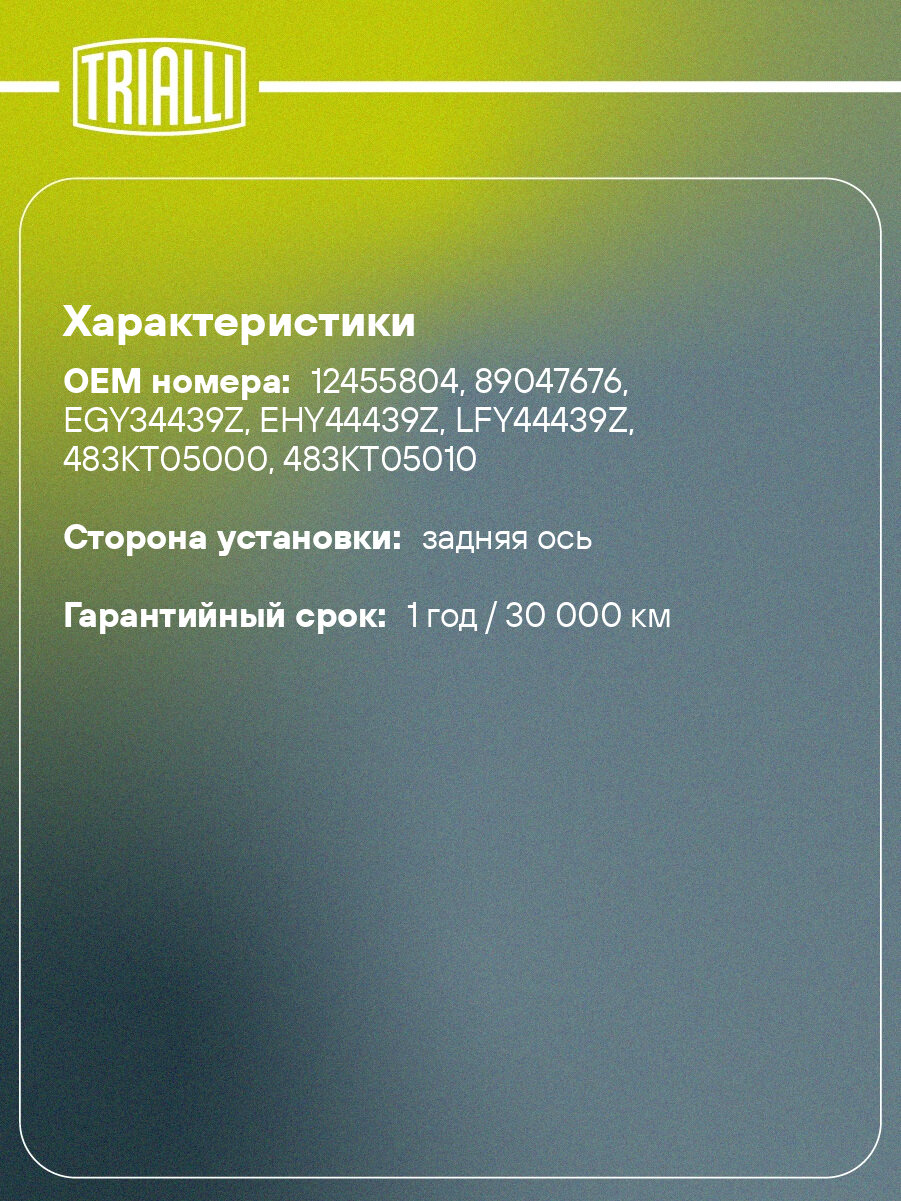 Колодки тормозные для автомобилей SsangYong Actyon (05-) / Kyron (05-) барабанные стоян. торм. GF 1700 TRIALLI — фото 1