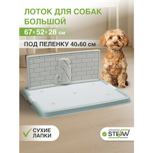 Туалет-лоток со стенкой для собак STEFAN, большой (L) 67х52х28, бело-голубой, BP1318GW