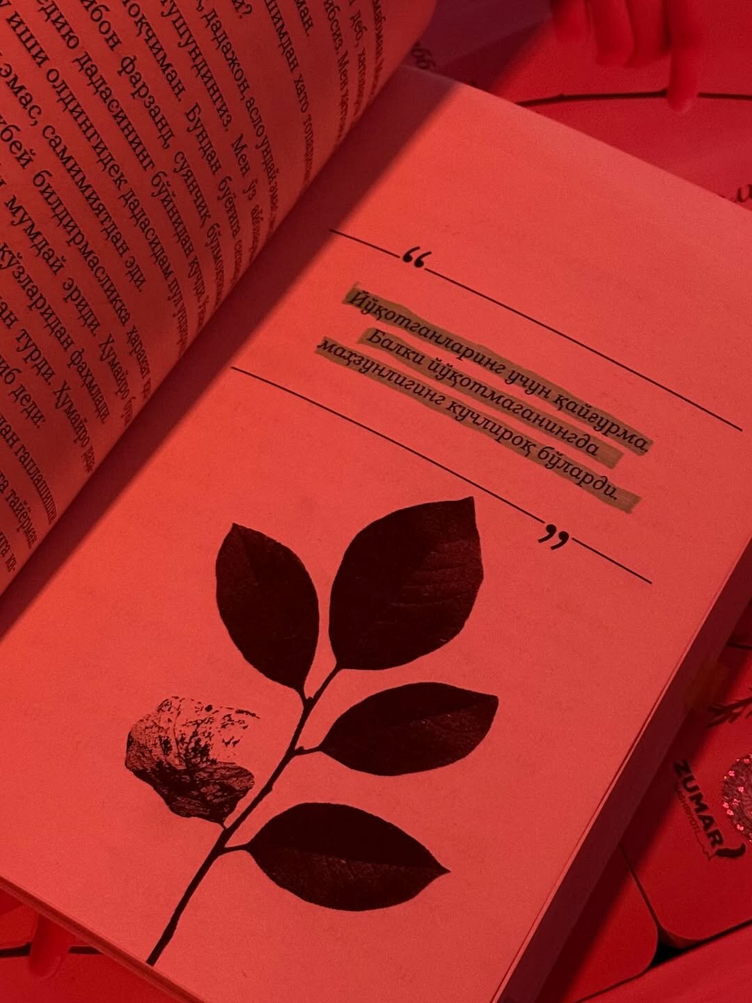 Сен, мен ва Сир. Фотиҳ Жамил. Роман — фото 1