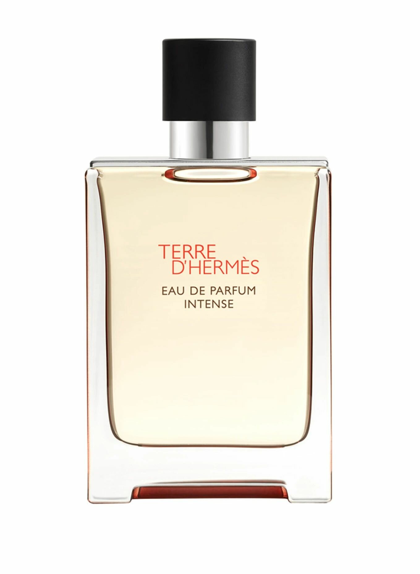 HERMES Мужская парфюмерная вода TERRE D'HERMES EAU DE PARFUM INTENSE REFILLABLE 100 мл (Многоразовый флакон)