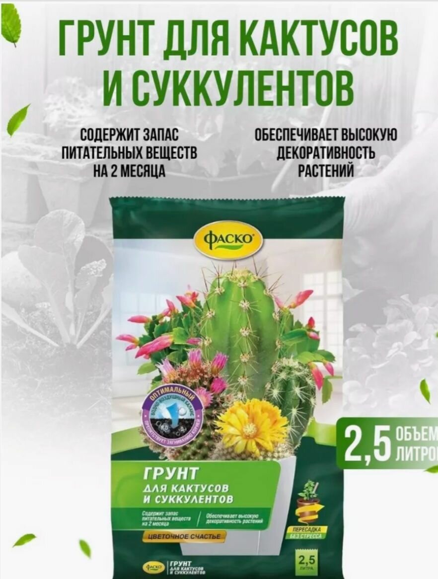 Грунт для Кактусов и Суккулентов 2.5 л 2 шт.