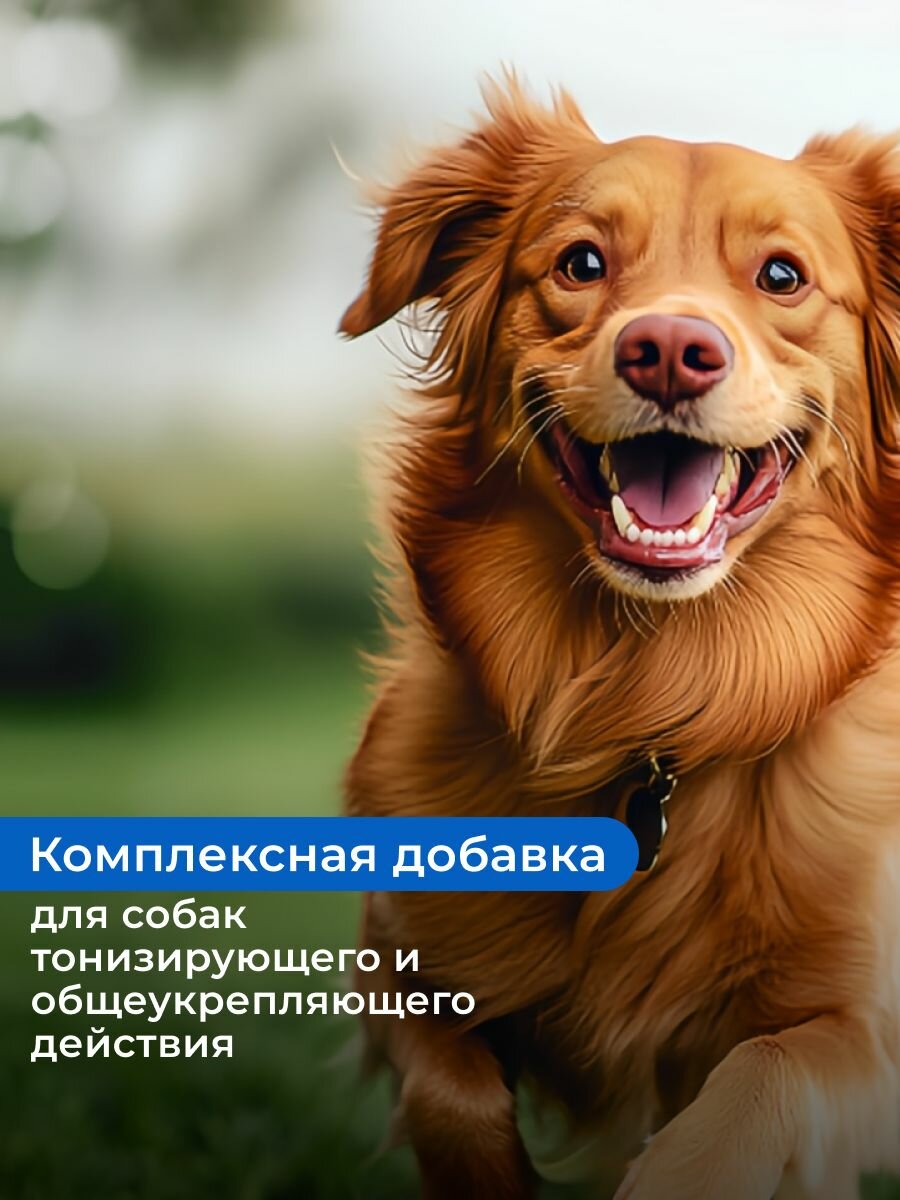 Картинки Эликсир питательный VitaPro на основе льняного масла для собак всех возрастов, тонизирующего и общеукрепляющего действия, 1 л