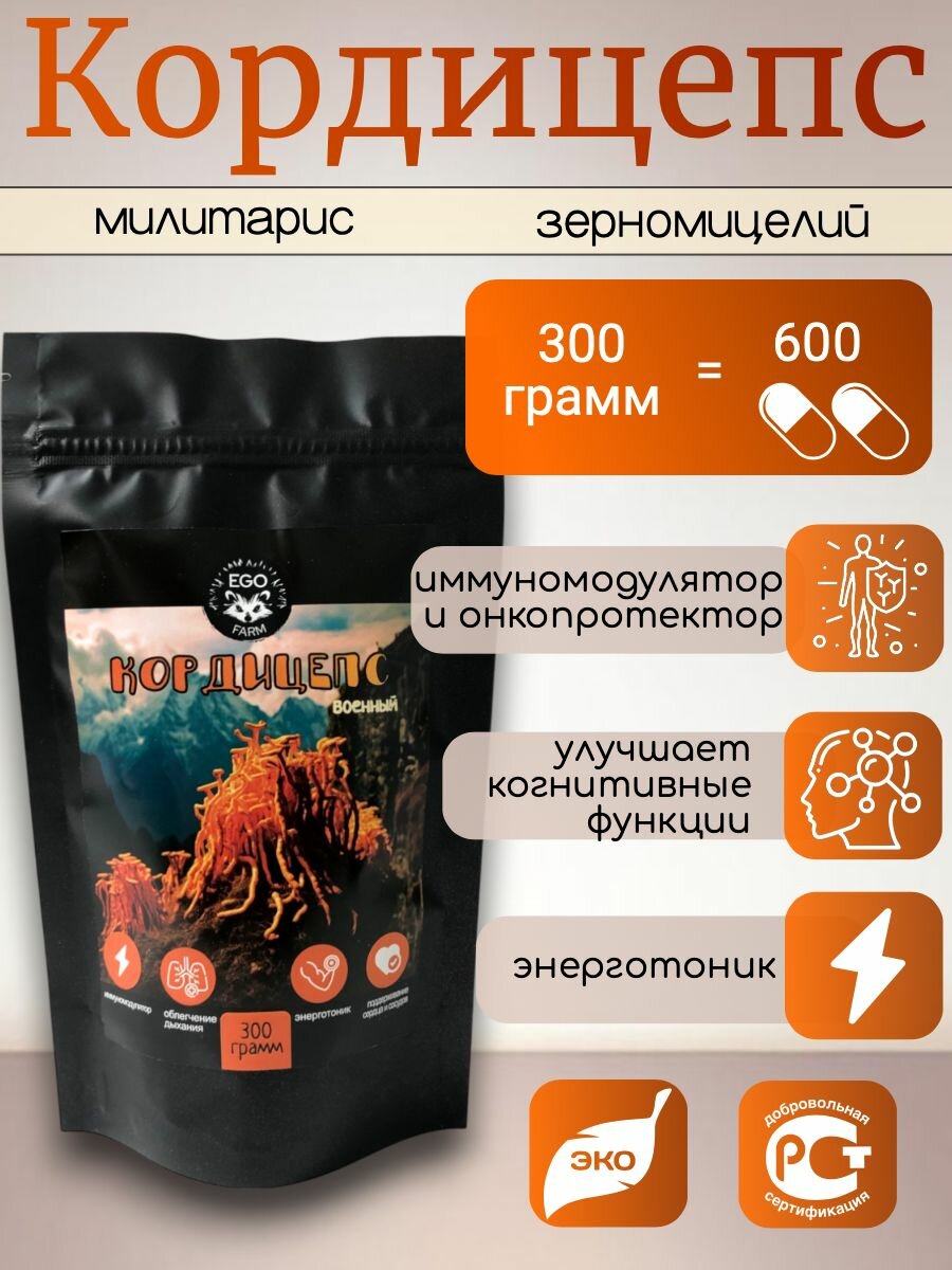 Кордицепс Милитарис порошок 300 грамм (Суперфуд, Cordyceps militaris) грибы сушеные