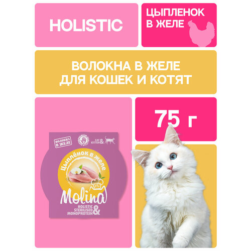 Влажный корм для котят. Цыпленок в желе, 75 г, 12 шт MOLINA.