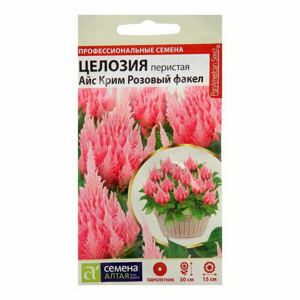 Семена цветов Целозия Айс Крим 
