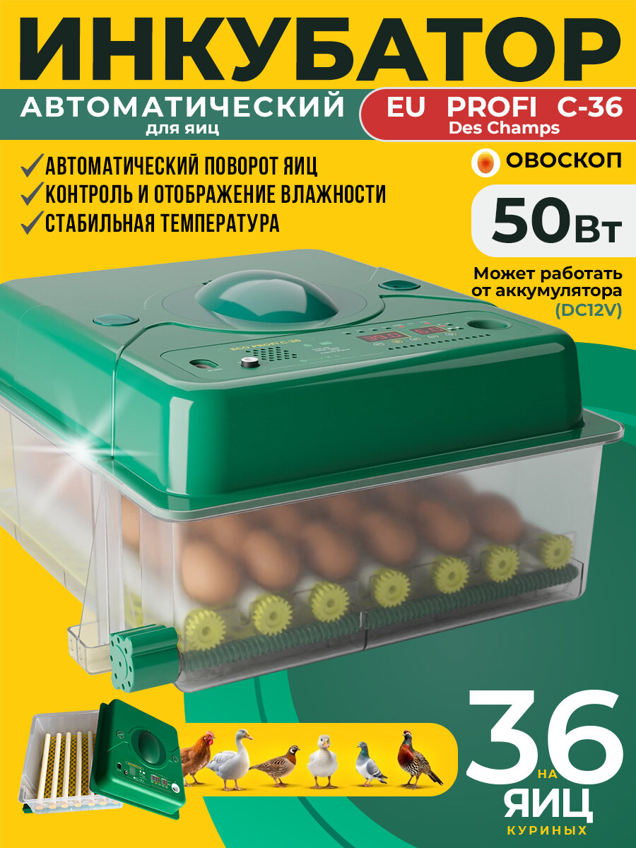 Инкубатор для яиц Des Champs "ECO PROFI C-36", автоматический, с овоскопом, на 36 яиц